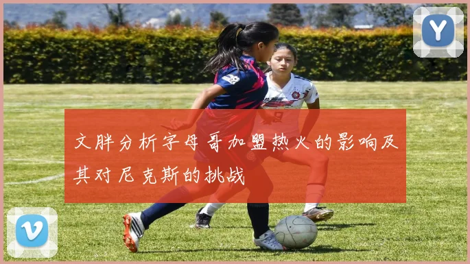 文胖分析字母哥加盟热火的影响及其对尼克斯的挑战