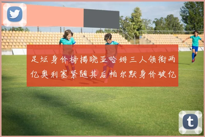 足坛身价榜揭晓亚哈姆三人领衔两亿奥利塞紧随其后帕尔默身价破亿